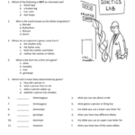 7th Grade Science Genetics Worksheets Pdf Scienceworksheets