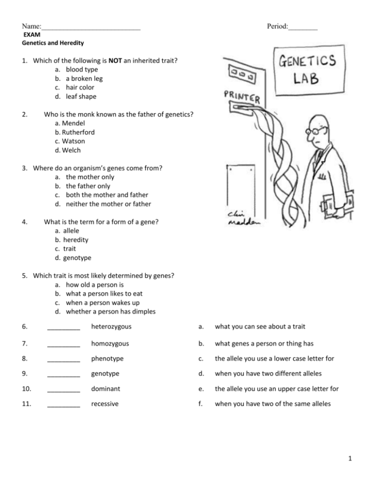 7th Grade Science Genetics Worksheets Pdf Scienceworksheets