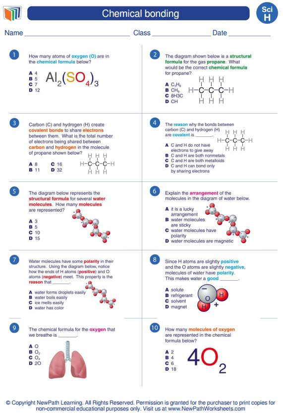 8th Grade Science Worksheets