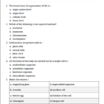 8th Grade Science Worksheets Cbse Scienceworksheets