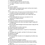 A Plastic Ocean Worksheet Answers