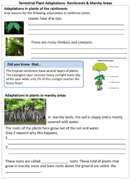 Adaptations In Plants Terrestrial And Aquatic Worksheets For Grade 