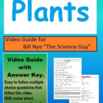 Answer Key Bill Nye Plants Worksheet Answers