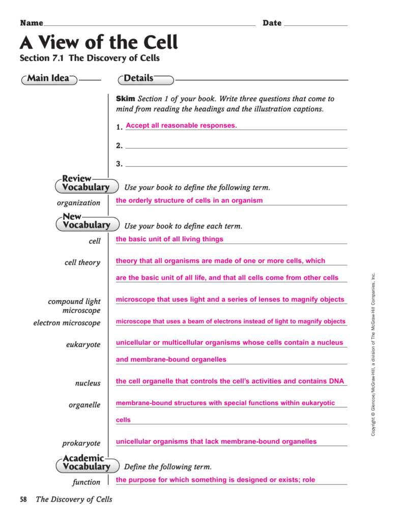 Answer Key Glencoe Mcgraw Hill Physical Science Worksheets A