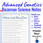 AP Biology Advanced Genetics Comprehensive Worksheet Bozeman Science