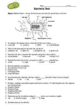 Bacteria And Viruses 7th Grade Science Worksheets And Answer Key 