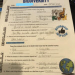 Bill Nye Biodiversity Worksheet Answers