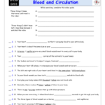 Bill Nye The Science Guy Blood And Circulation Worksheet Answers