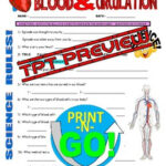 Bill Nye The Science Guy BLOOD CIRCULATION human Body Video Worksheet