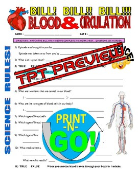 Bill Nye The Science Guy BLOOD CIRCULATION human Body Video Worksheet 