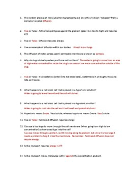 Bozeman Science Video Worksheet Transport Across Cell Membranes