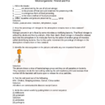 CBSE Class 8 Science Microorganisms Friend And Foe Worksheets With