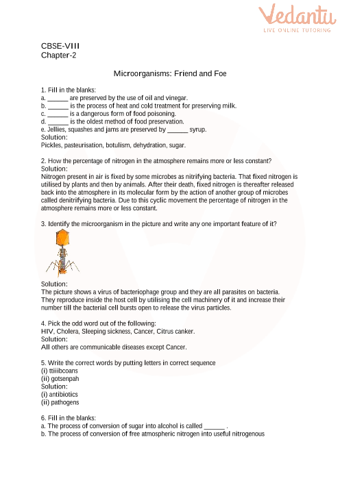 CBSE Class 8 Science Microorganisms Friend And Foe Worksheets With