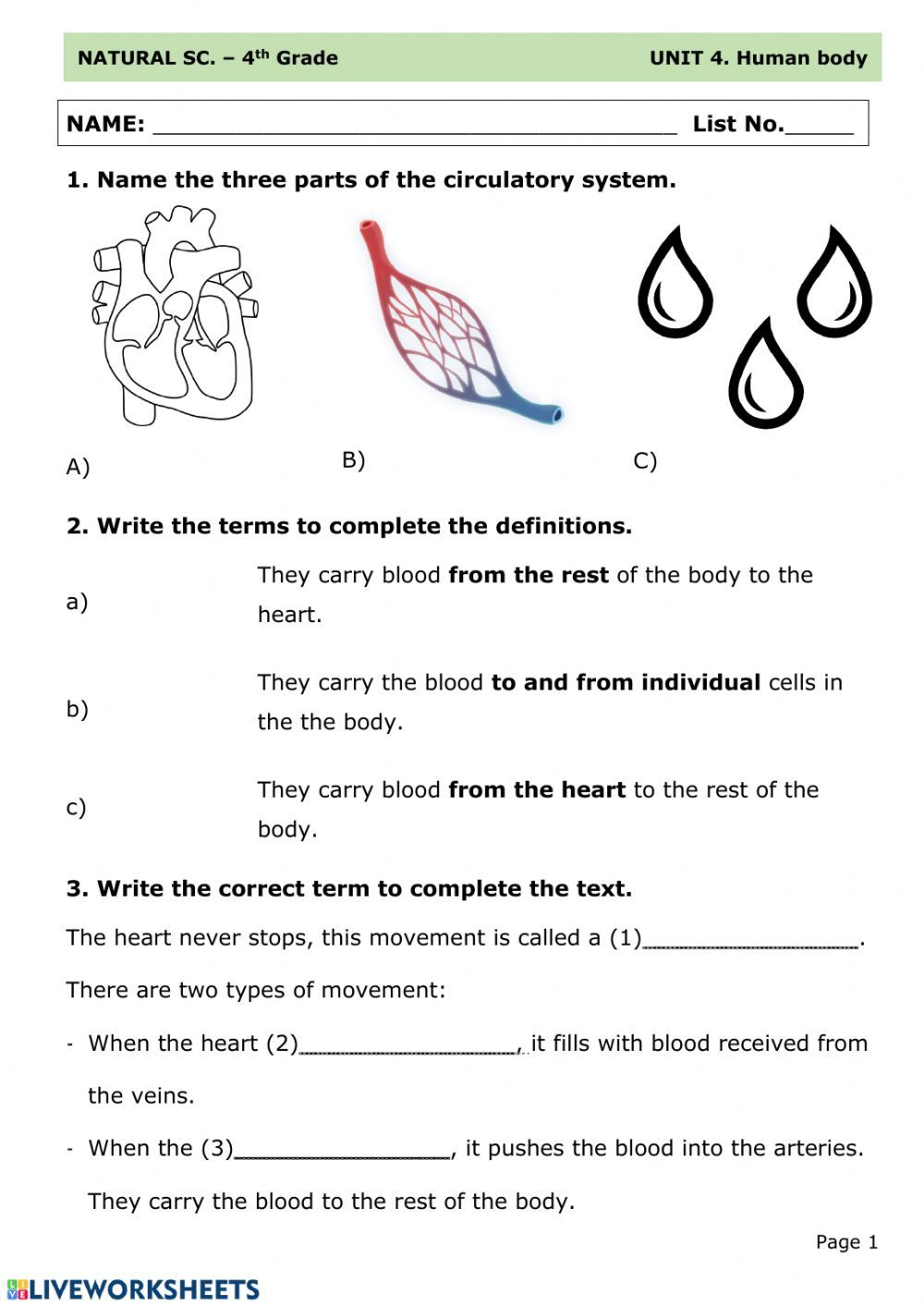 Circulatory System 7th Grade