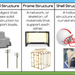 Classifying Structures Solid Frame And Shell Structures Grade 7 Science