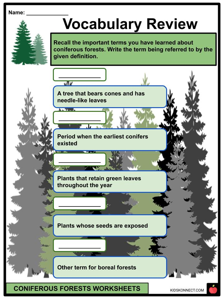 Coniferous Forests Facts Worksheets Origins Location For Kids