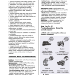 Earth Science SOL Review Sheet Rocks Scienceworksheets