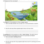 Ecology Student Worksheets