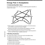 Energy Flow In Ecosystems Answer Key Fill Online Printable Fillable