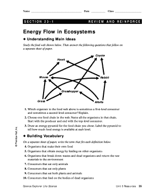 Energy Flow In Ecosystems Answer Key Fill Online Printable Fillable 