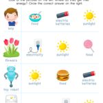 Energy Sources Printable Free Practice Physical Scince PDF For Kids