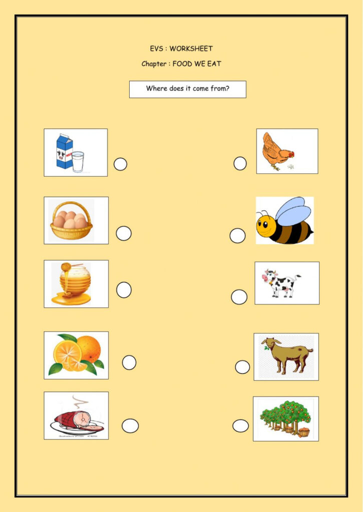 Food Delicious Science Food On The Brain Worksheet Answers 