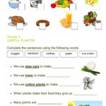 Food Delicious Science We Are What We Eat Worksheet Answers