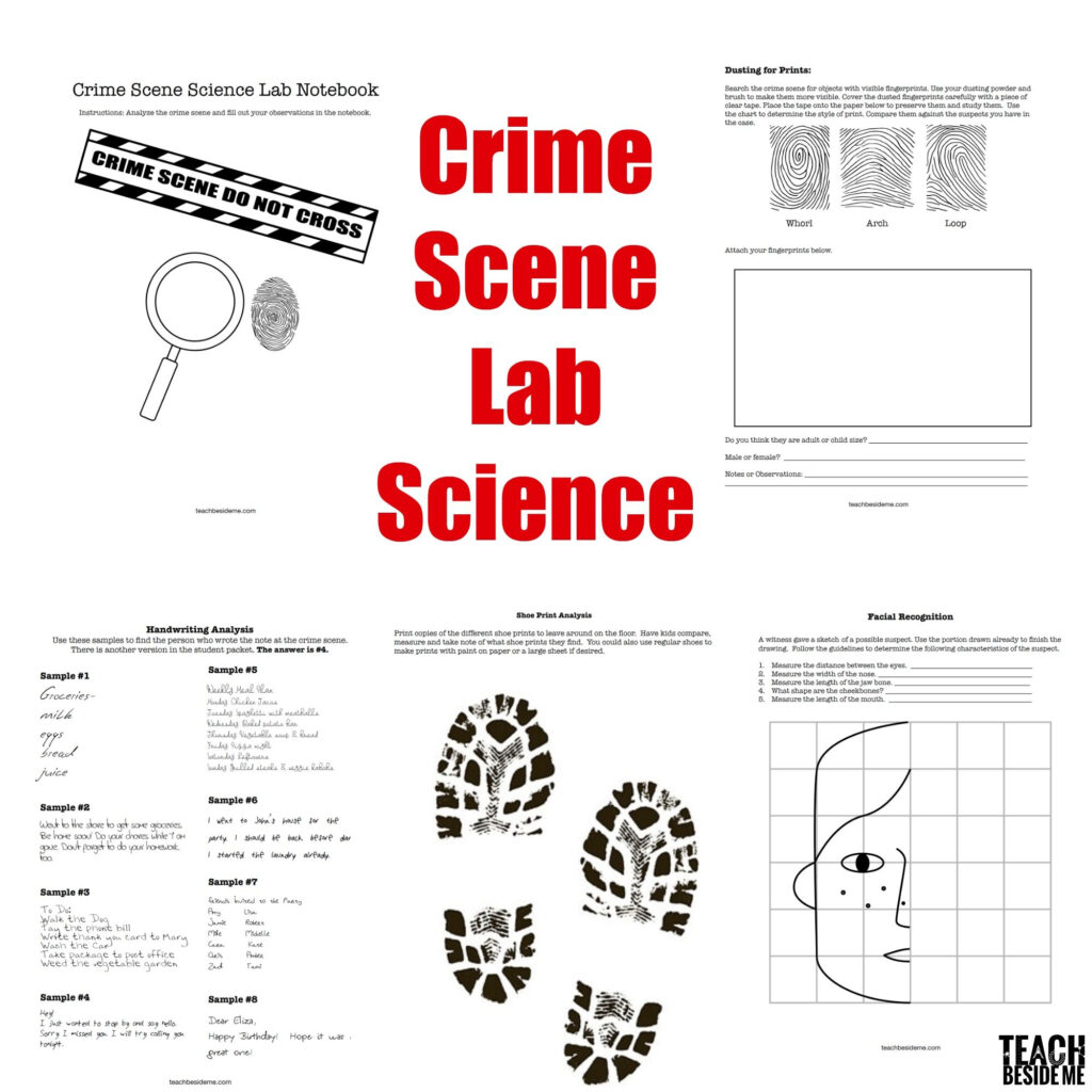 Forensic Science Activities For Students