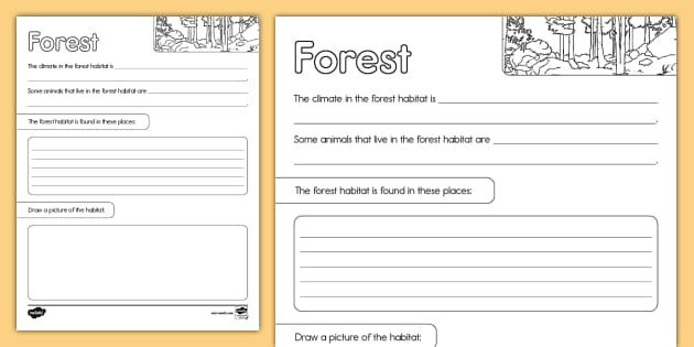 Forest Habitat Research Activity For K 2nd Grade Twinkl Worksheets 