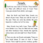 Forests Life Science Reading Comprehension Worksheet By Teach Simple