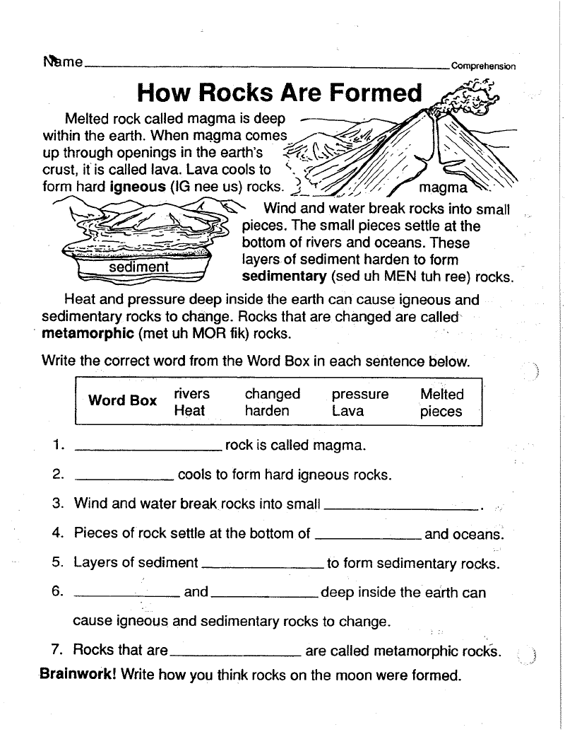 Free 6th Grade Science Worksheets