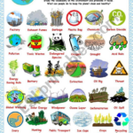 Free Environmental Science Worksheets