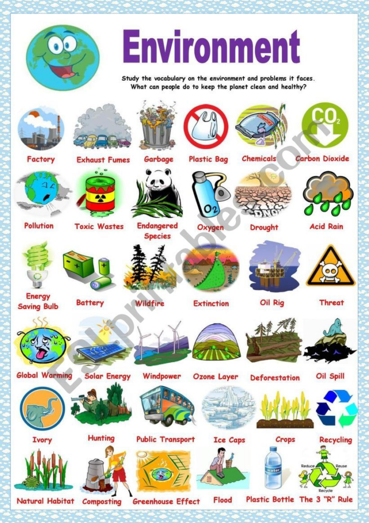 Free Environmental Science Worksheets