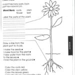 Free Printable Fifth Grade Science Worksheets Lexia 39 s Blog