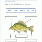 Free Printable Second Grade Science Worksheet