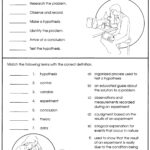 Free Science Grade 7 Worksheets Pdf Scienceworksheets