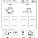 Freebie No prep First Grade Science Doodles Printables E4D