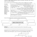 Glencoe Mcgraw Hill Science Grade 7 Worksheets Answers