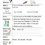 Grade 1 Science Experiment Worksheet