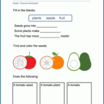 Grade 1 Science Worksheets K5 Learning