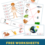 Grade 1 Science Worksheets Science Worksheets 1st Grade Worksheets