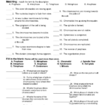 Grade 10 Biology Worksheet