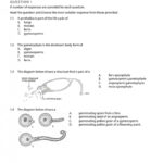 Grade 11 Life Sciences Other Grade 11 Life Sciences Revision Eng