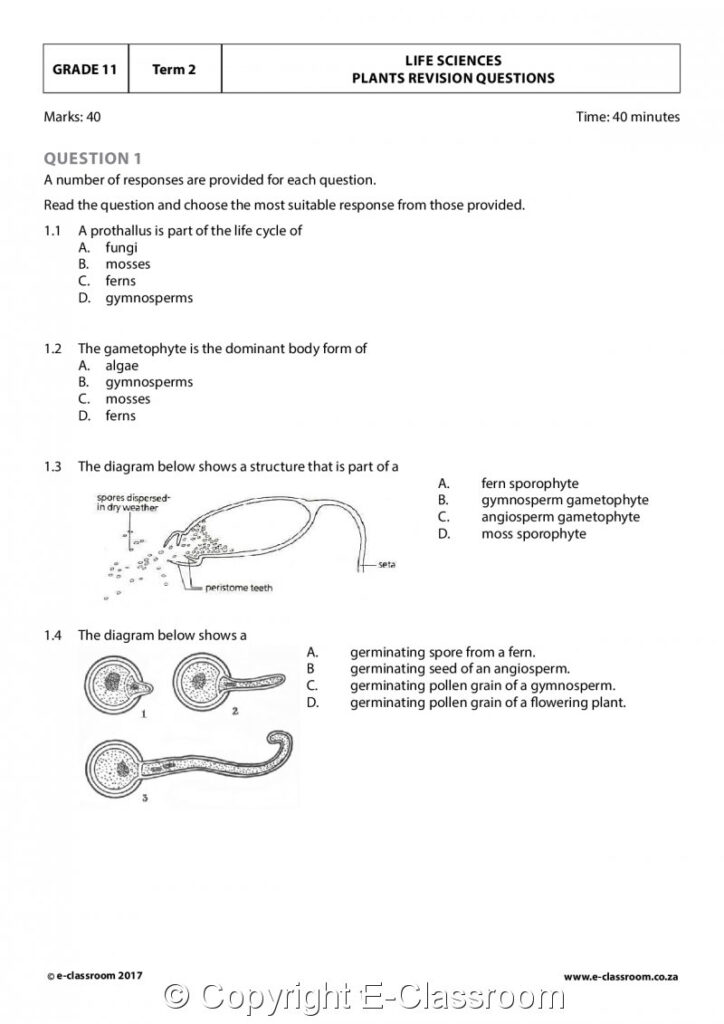 Grade 11 Life Sciences Other Grade 11 Life Sciences Revision Eng 