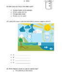 Grade 3 Science Worksheet Scienceworksheets