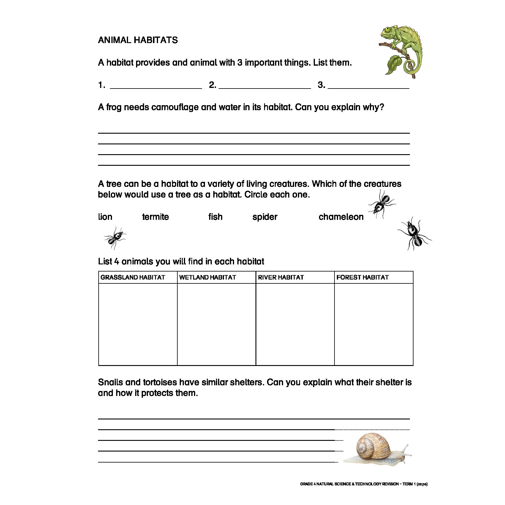 Grade 4 Natural Science And Technology Term 1 Revision Living Non