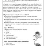 Grade 4 Natural Science Technology Worksheets Teacha