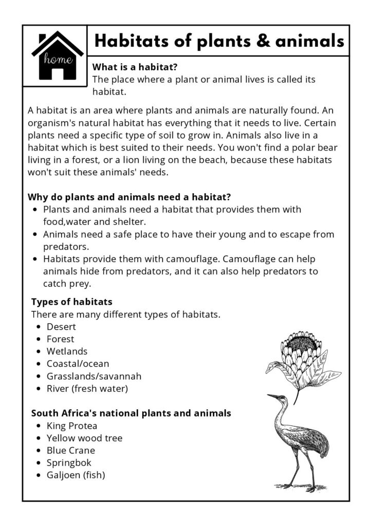 Grade 4 Natural Science Technology Worksheets Teacha 