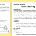 Grade 4 Science Sound Worksheets