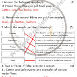 Grade 5 Natural Science Test Term 3 Teacha